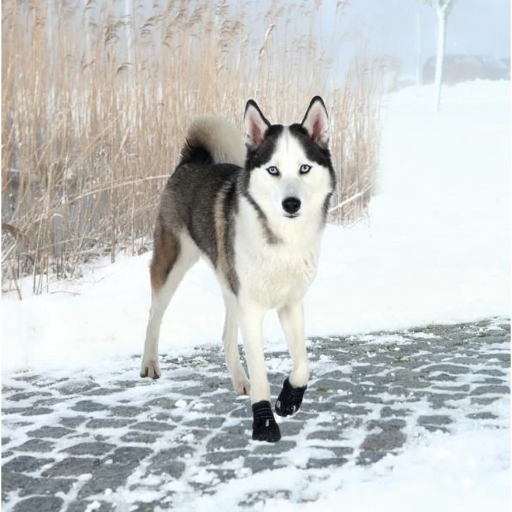 Trixie Pfotenschutz Walker Active 2 Stück schwarz L – Bild 1