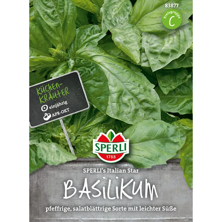 Basilikum ''Sperli´s Italian Star '' pfeffrige, salatblättrige Sorte mit leichter Süße