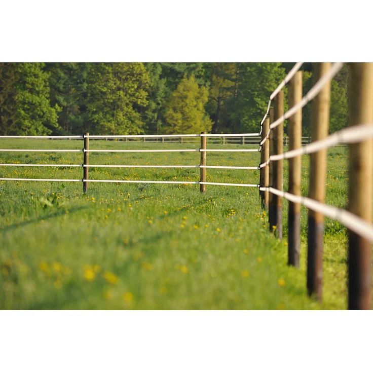 10 Stk. HOLZPFAHL 5cm Ø x 150cm Baumpfahl, Pfahl, Zaunpfahl, Zaun – Bild 8