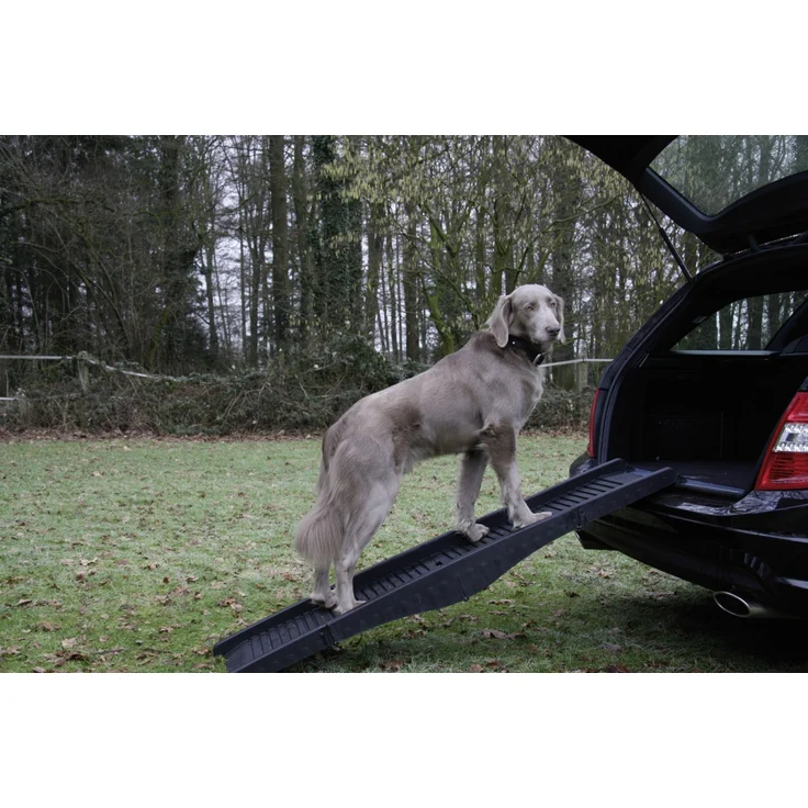 Nobby Hunderampe 40 x 152 cm – Bild 1