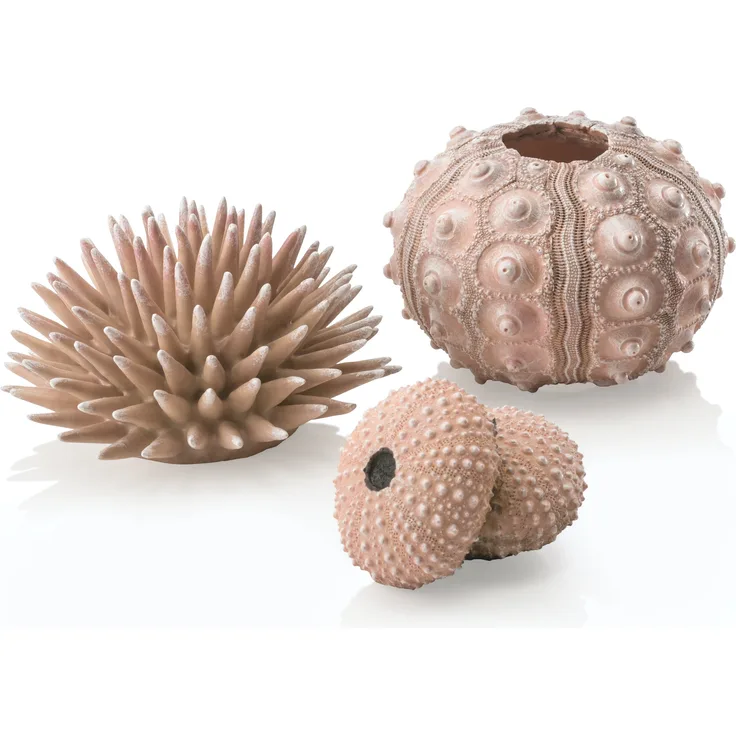 biOrb Seeigel Set natural (48366)
