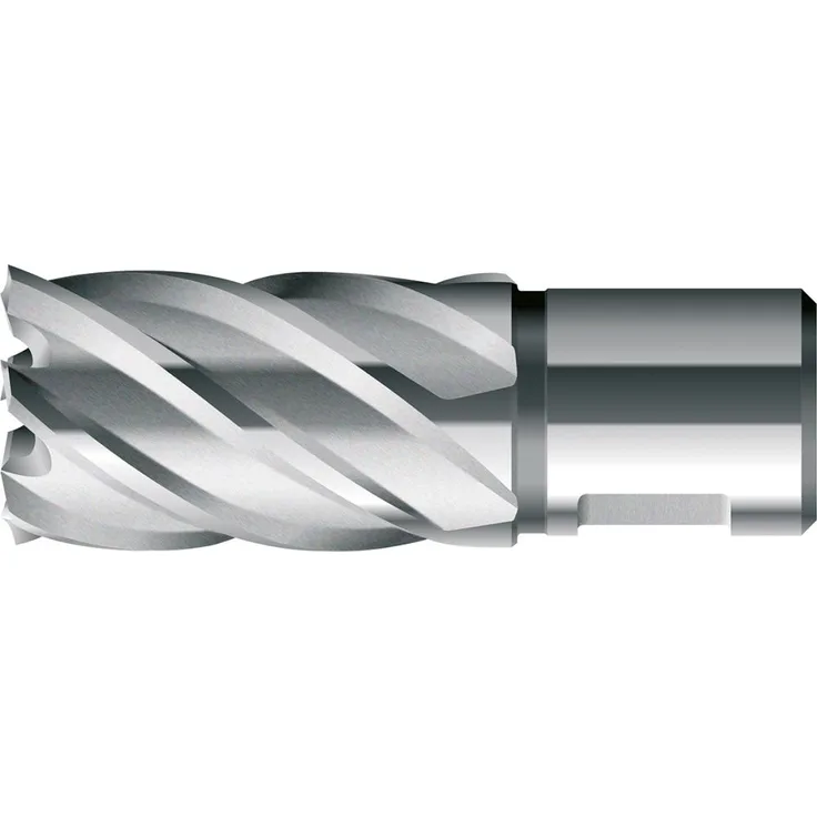 BDS Kernbohrer kurz KBK HSS Schaft Weldon 21/30mm BDS 1 Stück