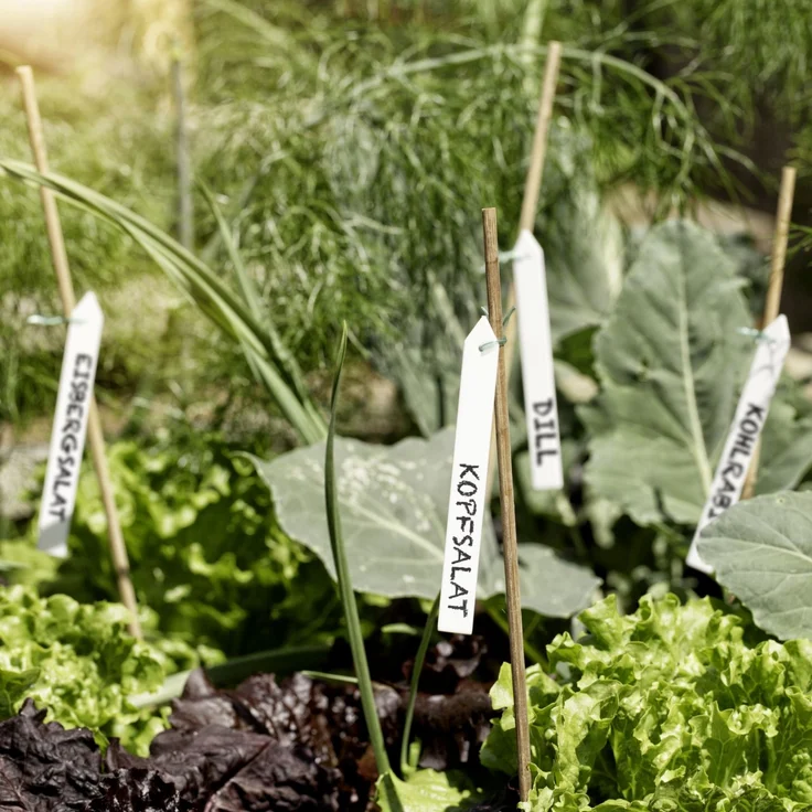 Windhager Bindeetiketten, 25 Stück – Bild 2