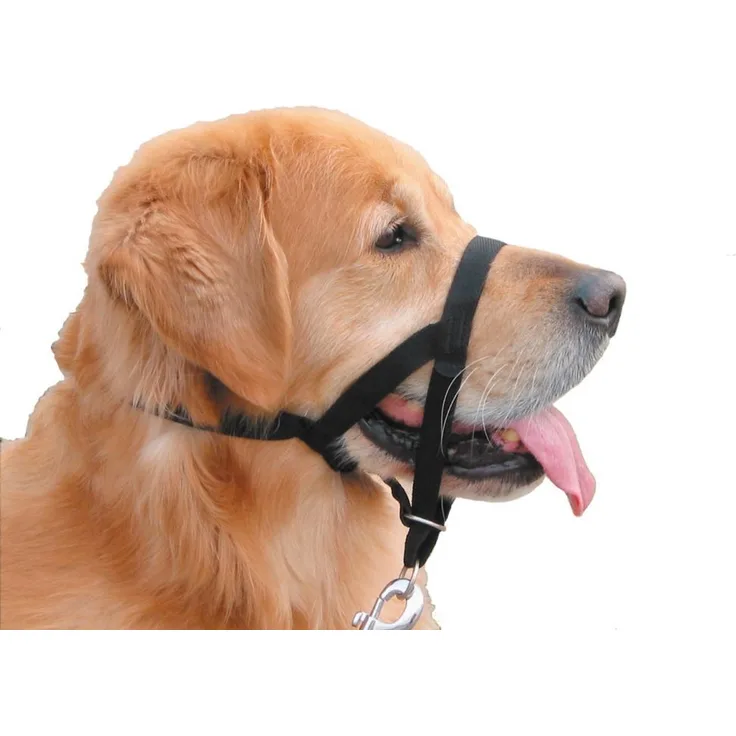 Nobby Easy Leader Größe: 4 = Rottweiler, Dogge , schwarz