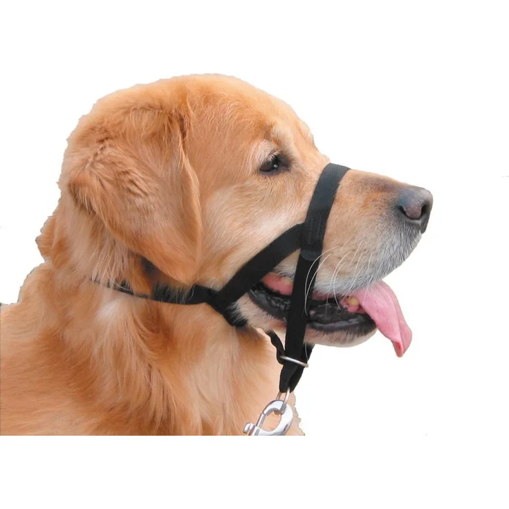 Nobby Easy Leader Größe: 4 = Rottweiler, Dogge , schwarz