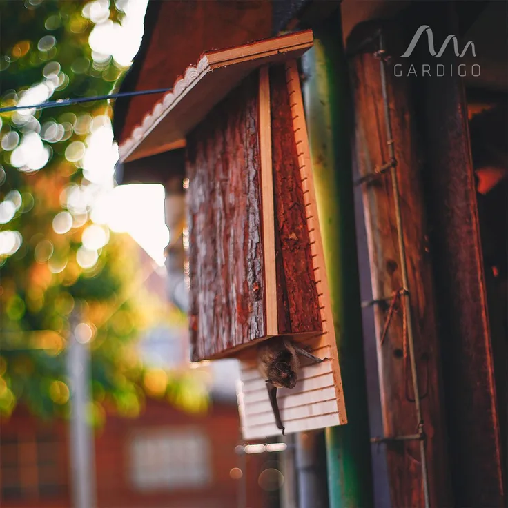 Gardigo Fledermauskasten