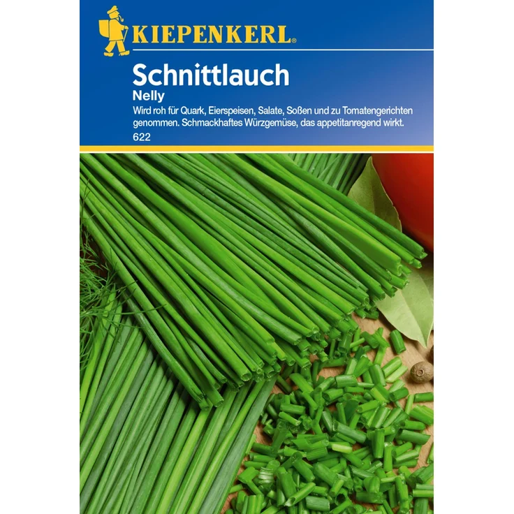 Schnittlauch Nelly feinröhrig, mehrjährig