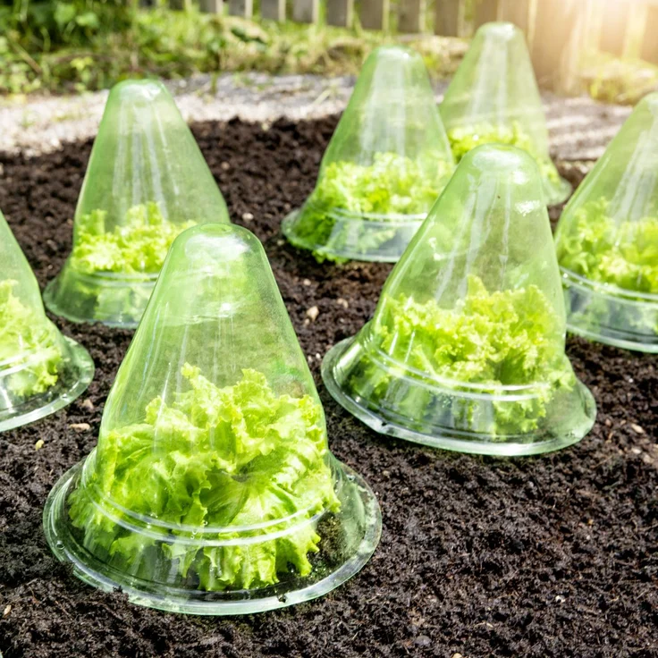 Windhager Pflanzenhut Ø 24cm, 10 Stück – Bild 1