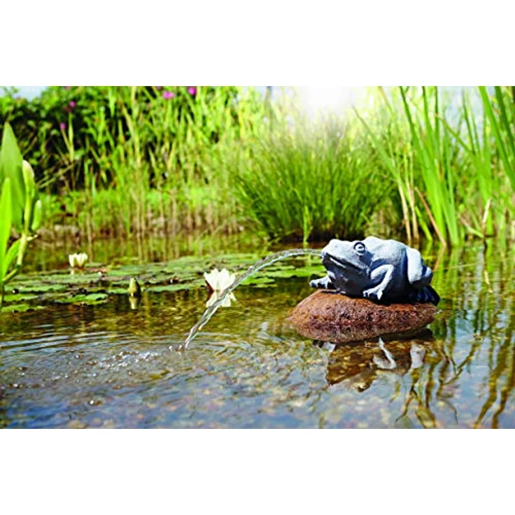 Oase Wasserspeier Frosch – Bild 3
