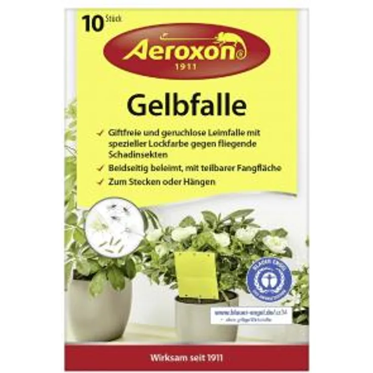 insektenfallen für Zimmerpflanzen 14,3 cm gelb 10 Stück