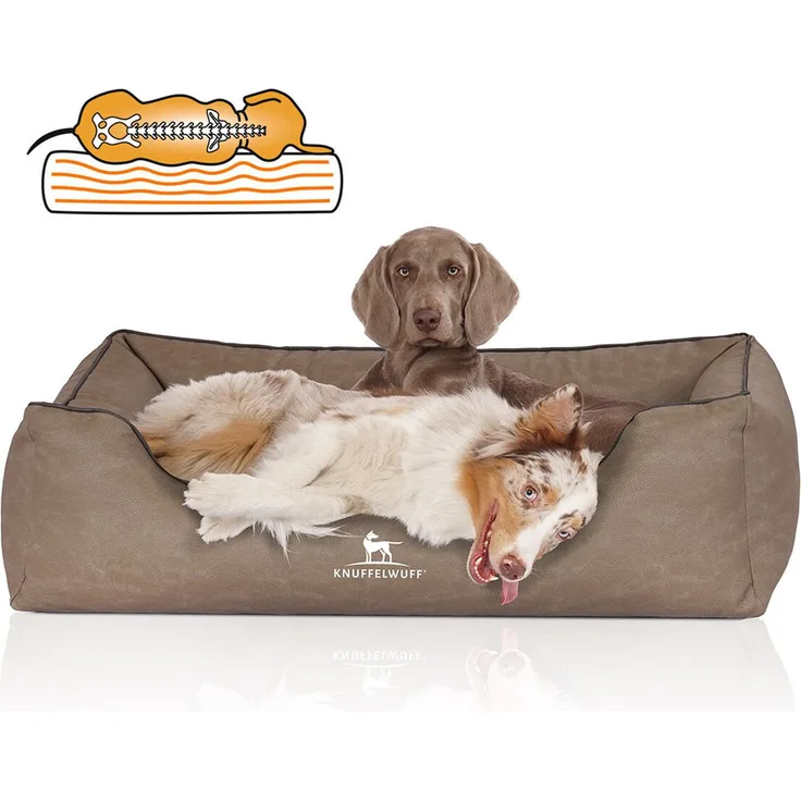Knuffelwuff orthopädisches Hundebett Rockland Stone XXL: 120x85cm