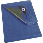 Perel - 70-0208 - Abdeckplane - Blau - Grün - Normal - 2 x 8 m