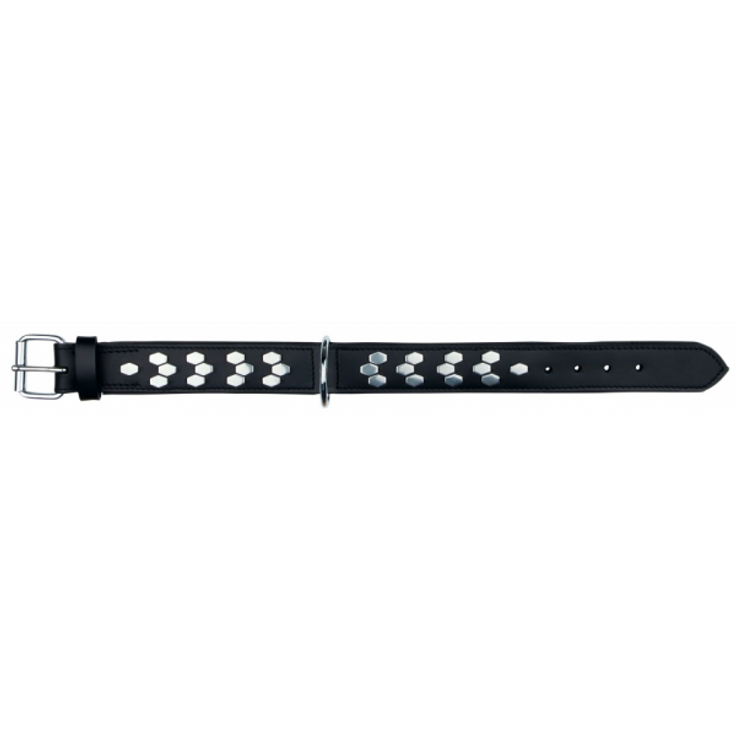 Trixie Active Halsband mit Zierbeschlag schwarz M: 38-45 cm/40 mm schwarz