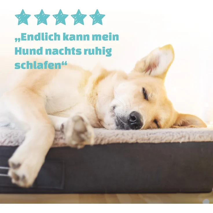 Balu Hundebett Hundekissen | waschbar | orthopädisch | rutschfest | atmungsaktiver Memory-Schaum | Größe XXL (120 x 10 x 100 cm) Beige – Bild 4