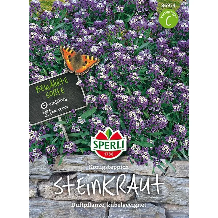 Sperli Steinkraut SPERLING`s Königsteppich