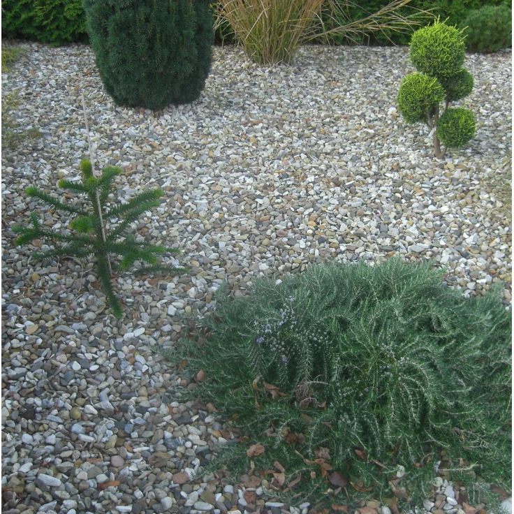 HaGa Gartenvlies 80G/m² In 2M Br (Meterware) Unkrautvlies Schutzvlies Gartenflies – Bild 5