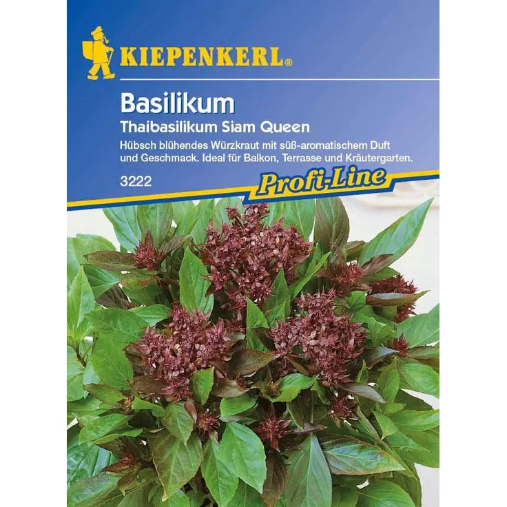 Kiepenkerl Basilikum Thaibasilikum Siam Queen, Ocimum basilicum, Inhalt: ca. 150 Pflanzen