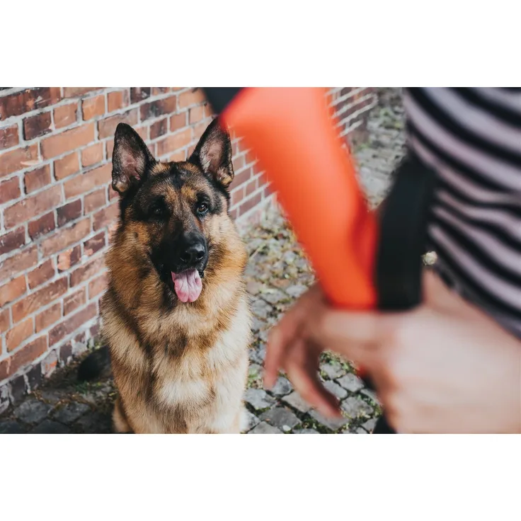 Hunter Dummy Trient 15 cm Einzeln