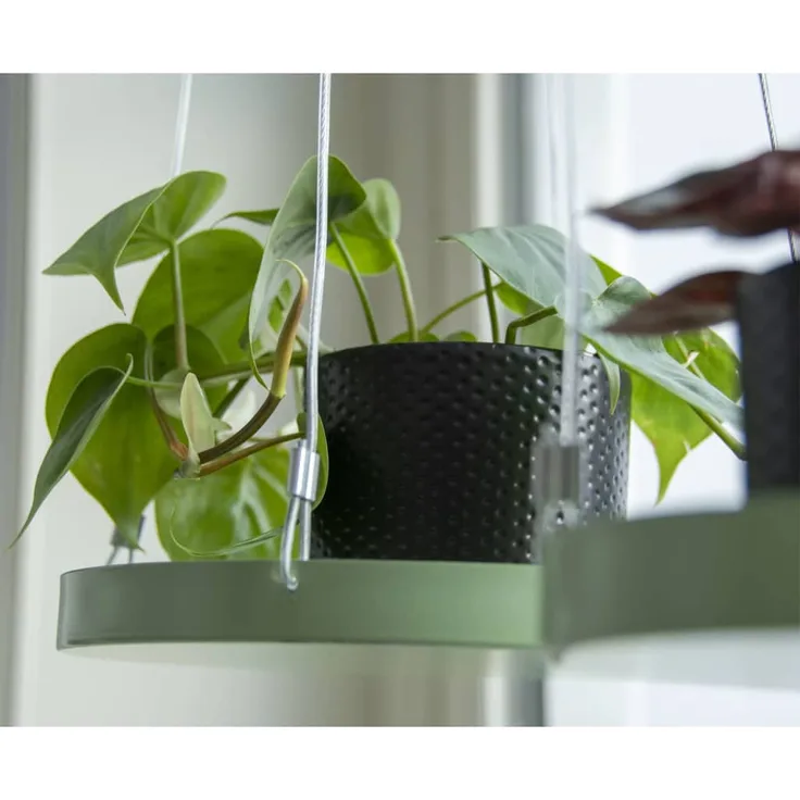 Esschert Design Hängendes Pflanzentablett rund Grün L, Pflanzentabletthänger, L 24 x B 24 x H 2,1 cm
