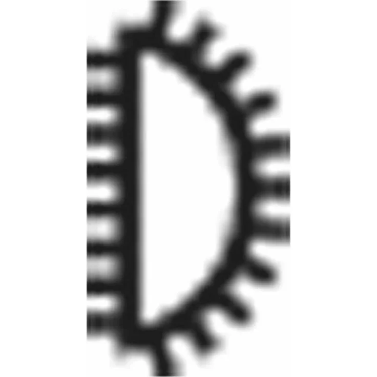 Pferd 11233207 Raspel für Holz halbrund Hieb 2 Holzraspel, Raspelhieb H2, Länge 200mm