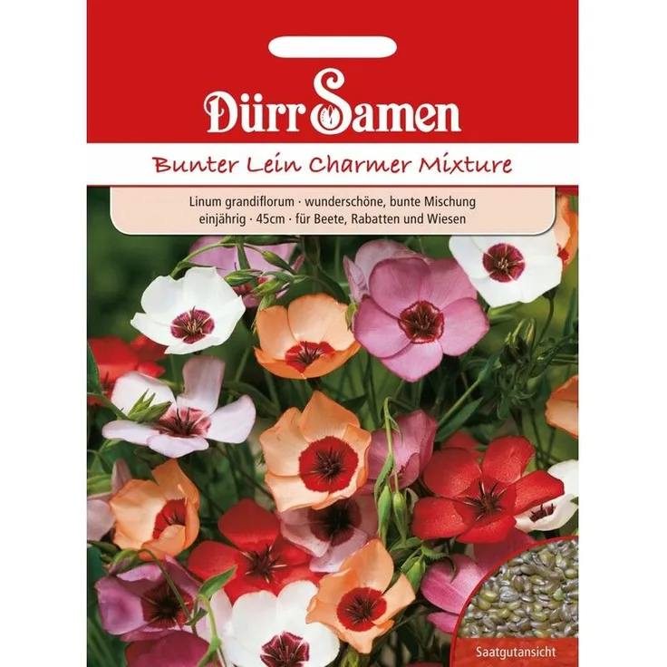 DÜRR-SAMEN Dürr-samen - Bunter Lein Charmer Mischung | Leinsamen 