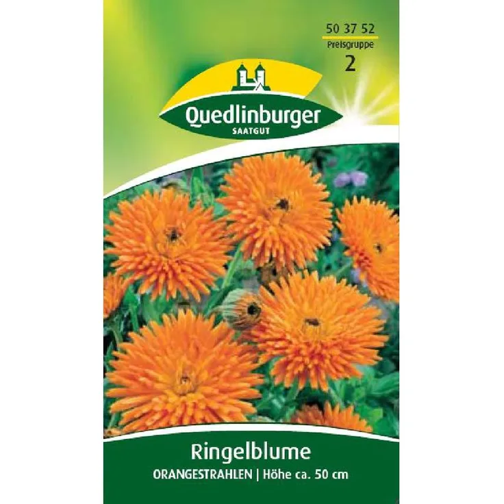 QUEDLINBURGER Ringelblume, Orangestrahlen
