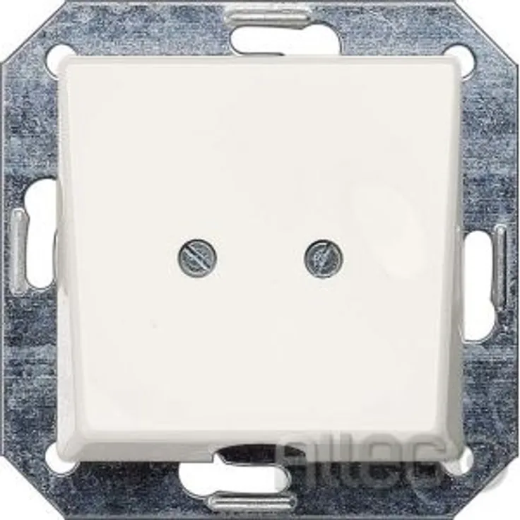 Siemens IS Auslassplatte 55x55 tws 5TG2566