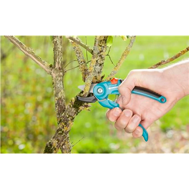GARDENA Gartenschere A-S Stabile Rebenschere mit Amboss-Schneide für älteres und trockenes Holz bis 18 mm Durchmesser, mit zwei Griffpositionen und ergonomischen Griffen 8855-20 mittelgroß – Bild 2