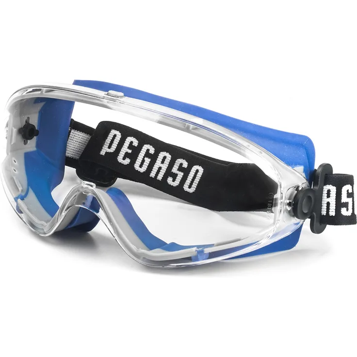 Pegaso 22 Schutzbrille, Blau und Grau, L