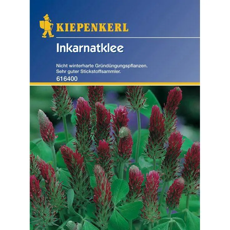 Kiepenkerl Inkarnatklee Gründünger Portion 75g für 25 qm