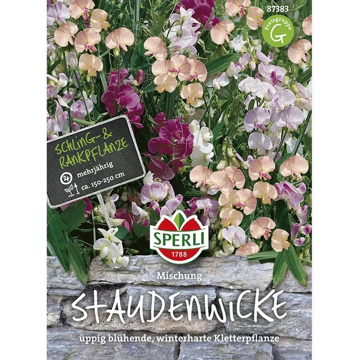 Sperli Staudenwicke Mischung