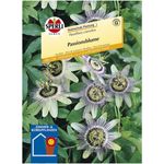 Sperli Passionsblume Sperling?s Früchtetraum