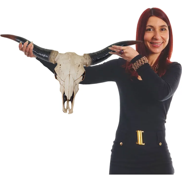 Deko Schädel 75cm HWC-A14, Polyresin Stier Bulle Longhorn Kopf Trophäe, In--Outdoor natur