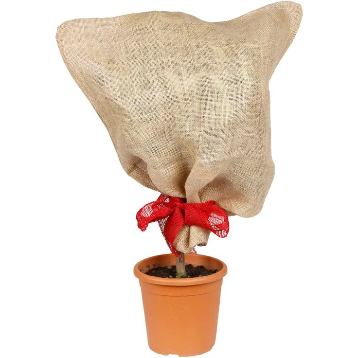 Jutesack natur Pflanzen-Schutzsack Winterschutz Pflanzenschutz Frostschutz 57x78