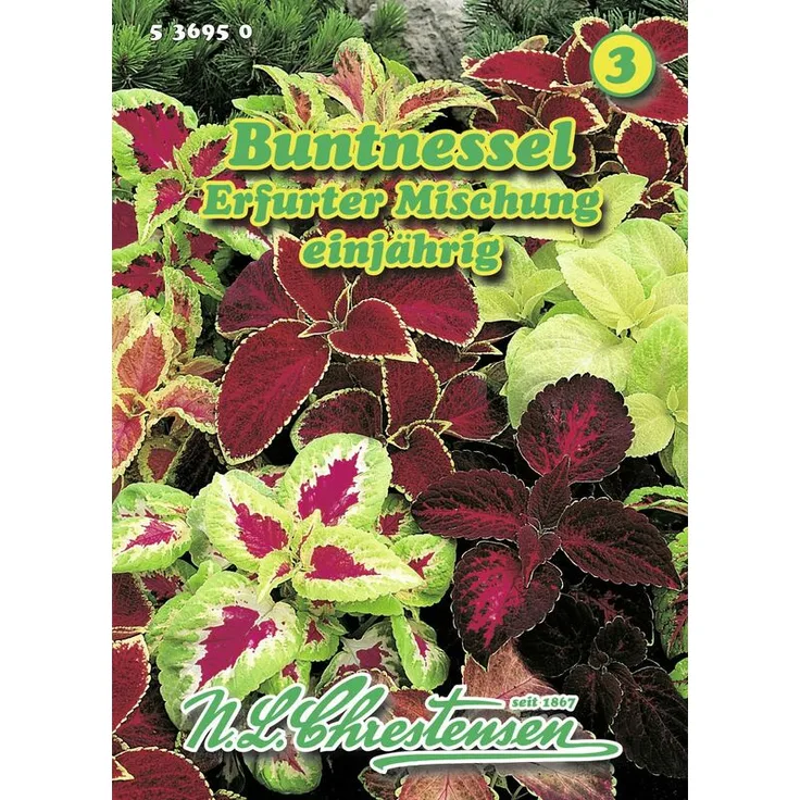 N.L. CHRESTENSEN Buntnessel Erfurter Mischung Blumensamenmischung 
