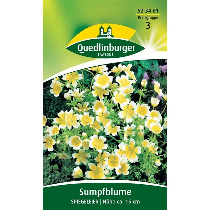 QUEDLINBURGER Sumpfblume, Spiegeleier