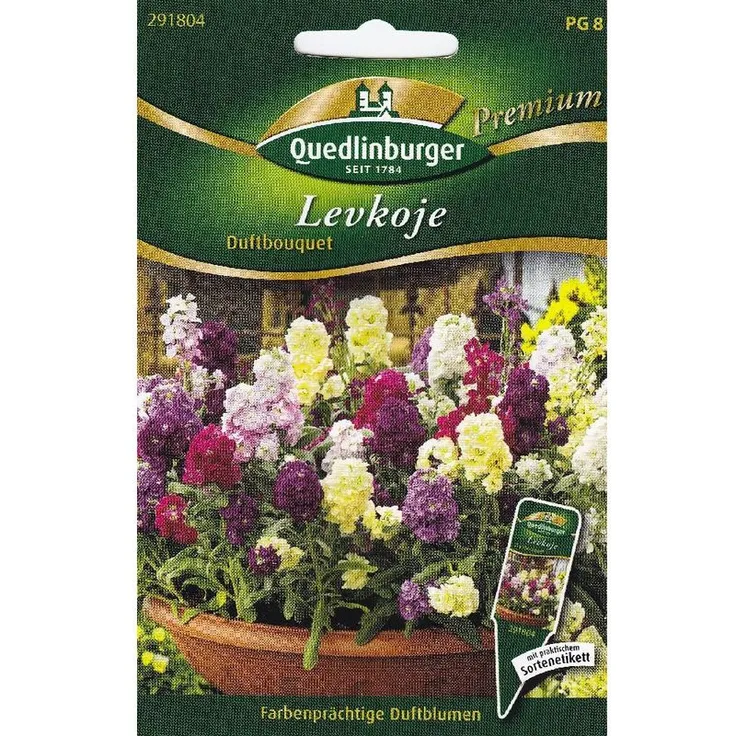 QUEDLINBURGER Levkojen, Duftbouquet