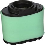 Briggs & Stratton Briggs and Stratton 310195 Filter, Multi-Colour