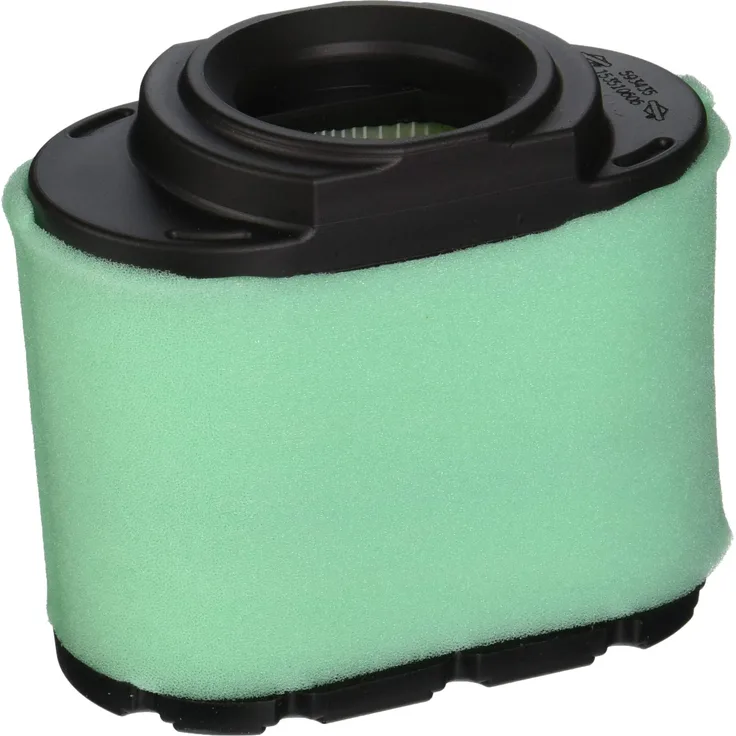 Briggs & Stratton Briggs and Stratton 310195 Filter, Multi-Colour
