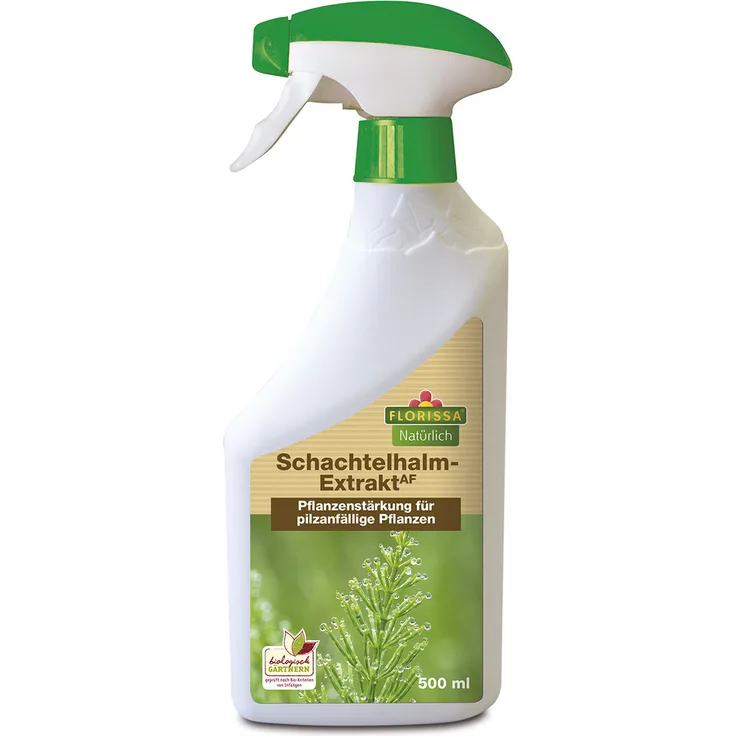 FLORISSA Schachtelhalm Extrakt AF, 500 ml