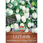 Sperli Eierbaum (Solanum) Essbare Früchte