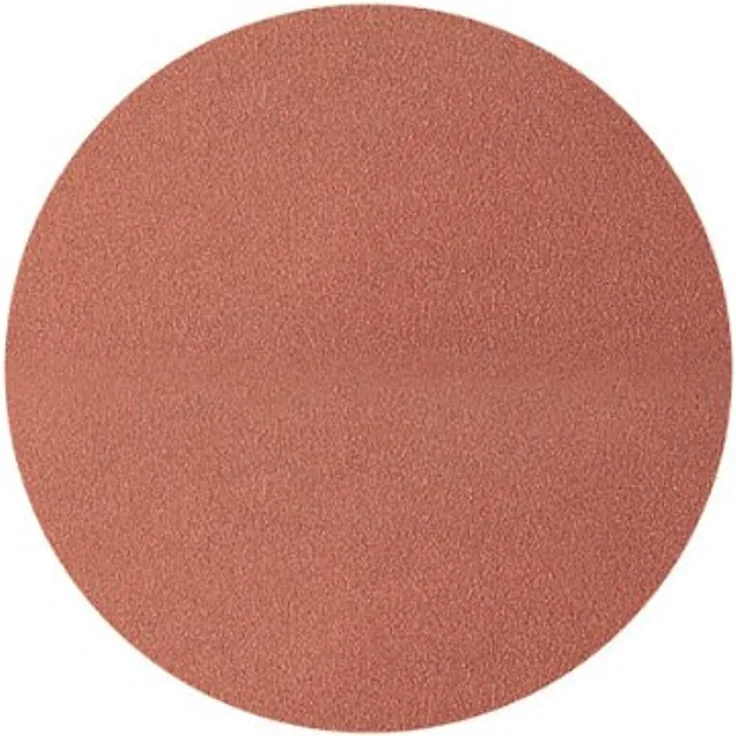 wolfcraft 2 Haft-Schleifscheiben Korn 40,80 Ø 178