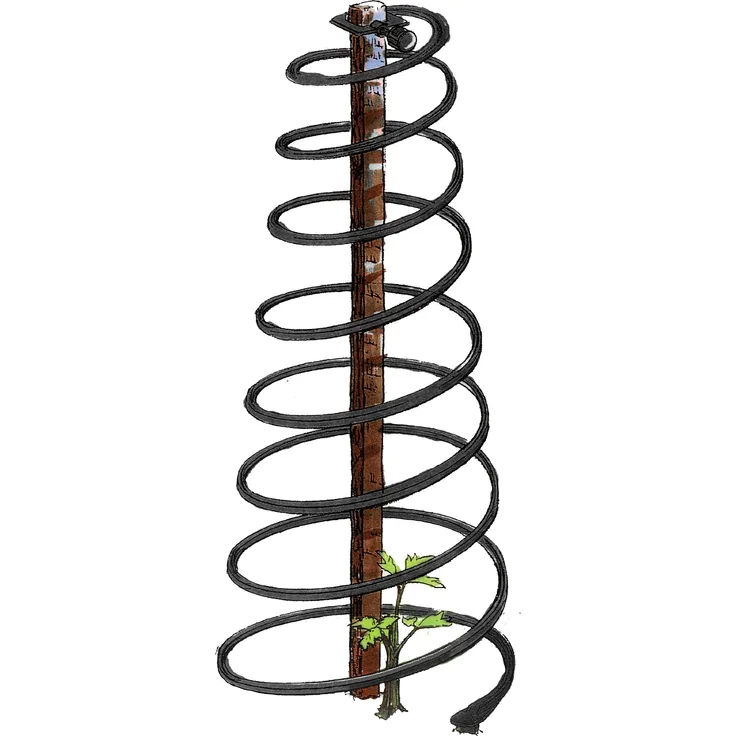 Bio Green Aufzuchtartikel Rankhilfe für Kletterpflanzen, Tomaten, Gurken, Schwarz