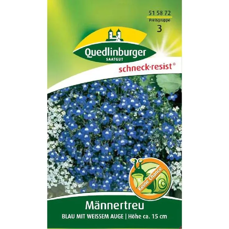 QUEDLINBURGER Männertreu, Blau mit weißem Auge