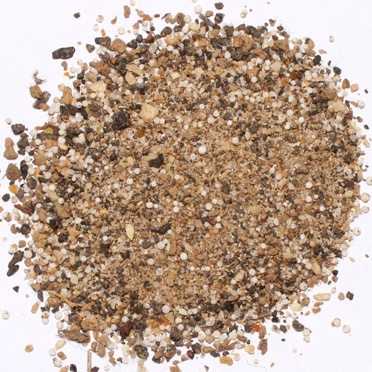 Beckmann Buchsbaumdünger 1 kg für 10 m² - Beckmann