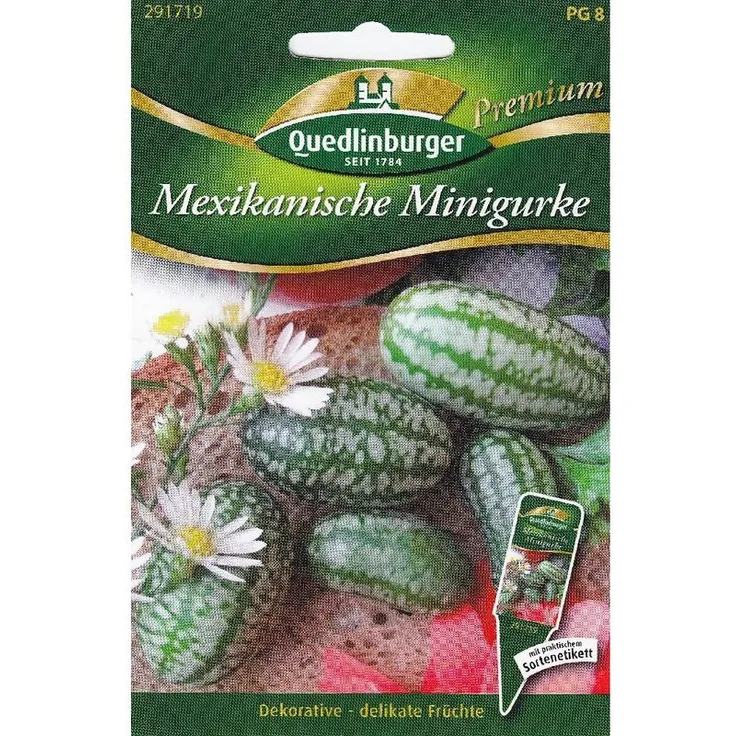 QUEDLINBURGER Mexikanische Minigurke