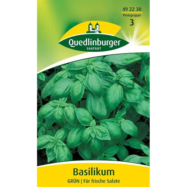 QUEDLINBURGER Basilikum, Grün