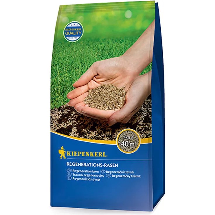 Nebelung, Bruno Kiepenkerl Regenerations-Rasen 1 kg