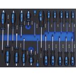 TrutzHolm Profi Werkstattwagen Einlage Schraubendreher 21 tlg. Sortiment Schaum 520x400mm