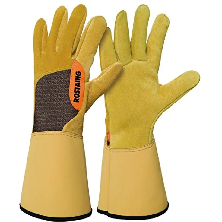 Rostaing Epines & Ranken Handschuh Pro, beige, 43 x 19 x 2,5 cm